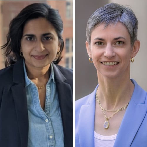 Paula Chatterjee and Rachel M. Werner